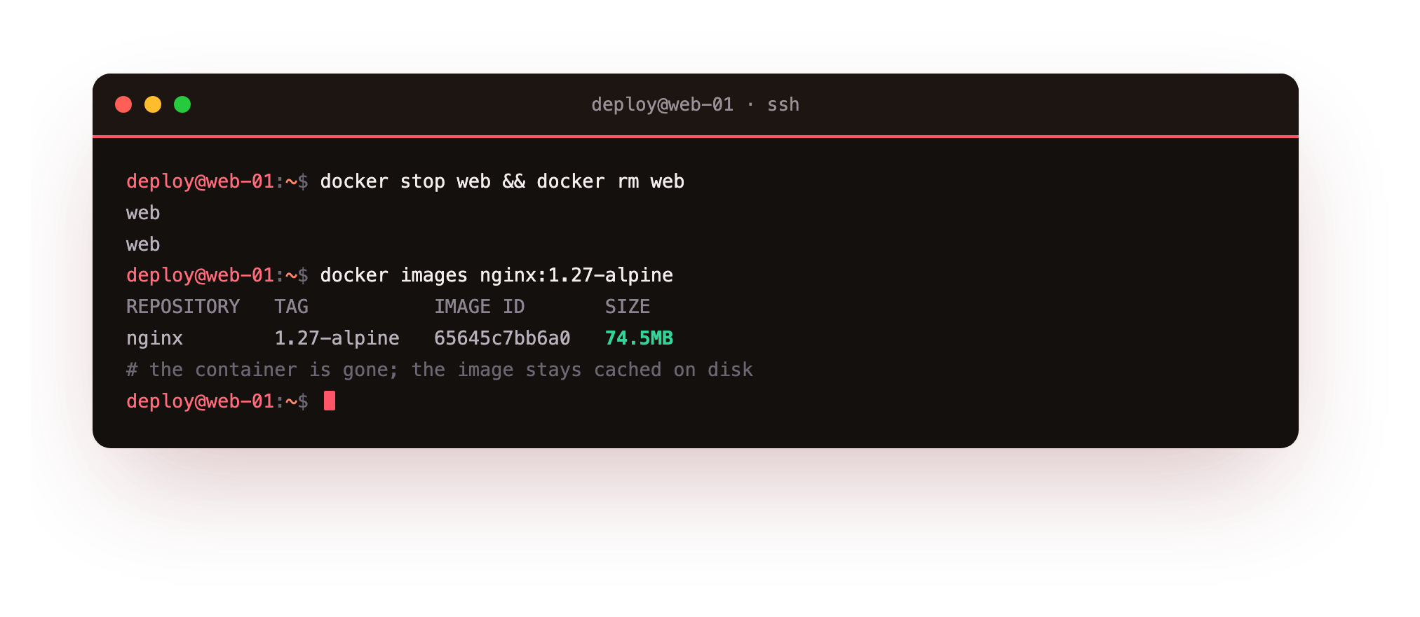The web container stopped and removed, then docker images still listing nginx 1.27-alpine, proving the image stays cached on disk after its container is gone