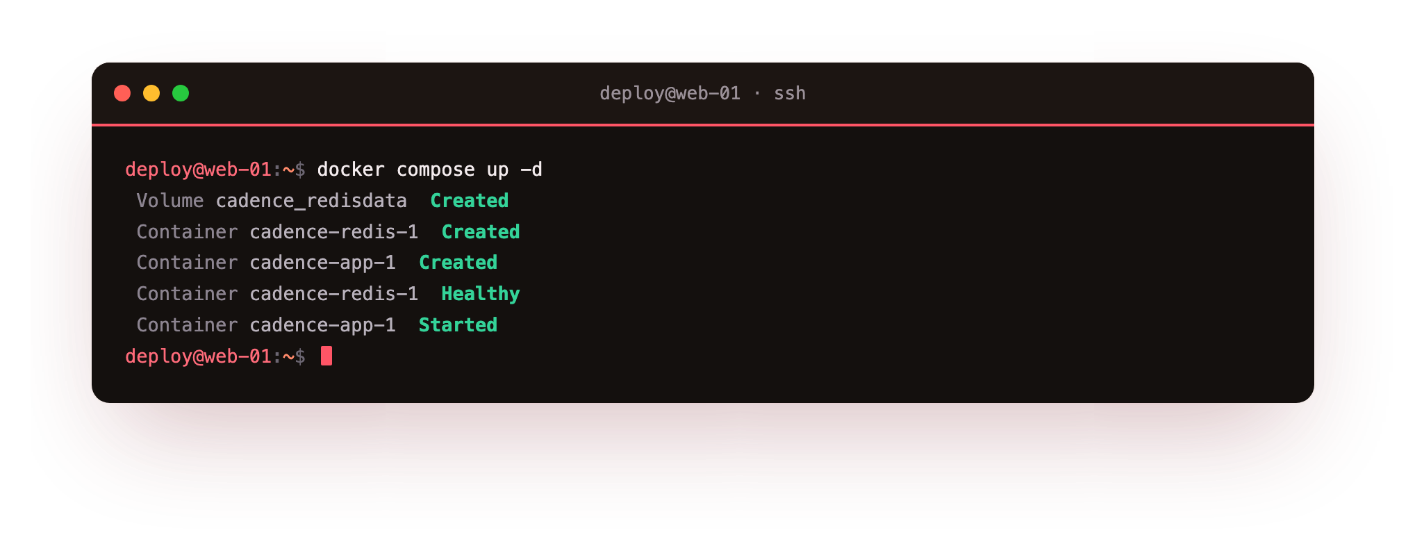 docker compose up creating the named volume and network, starting Redis first, waiting for it to be healthy, then starting the app