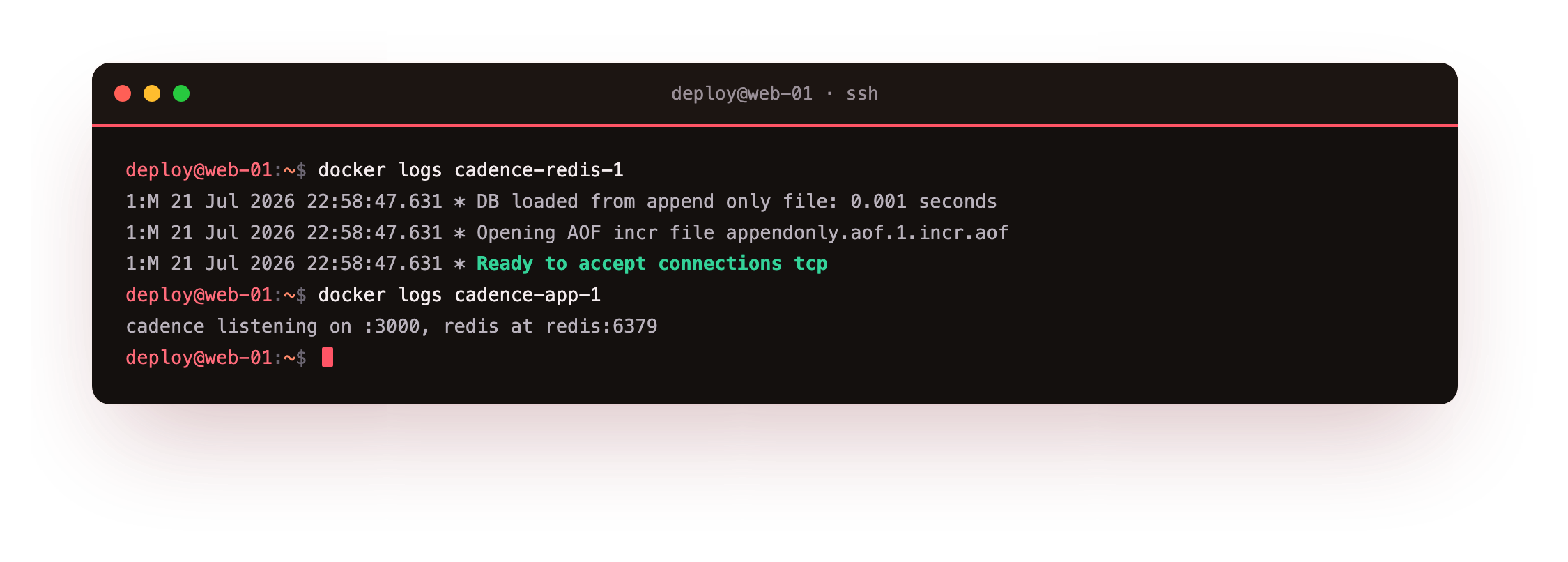 docker logs showing Redis loading its append-only file from the volume and reporting ready to accept connections, and the app's own start line