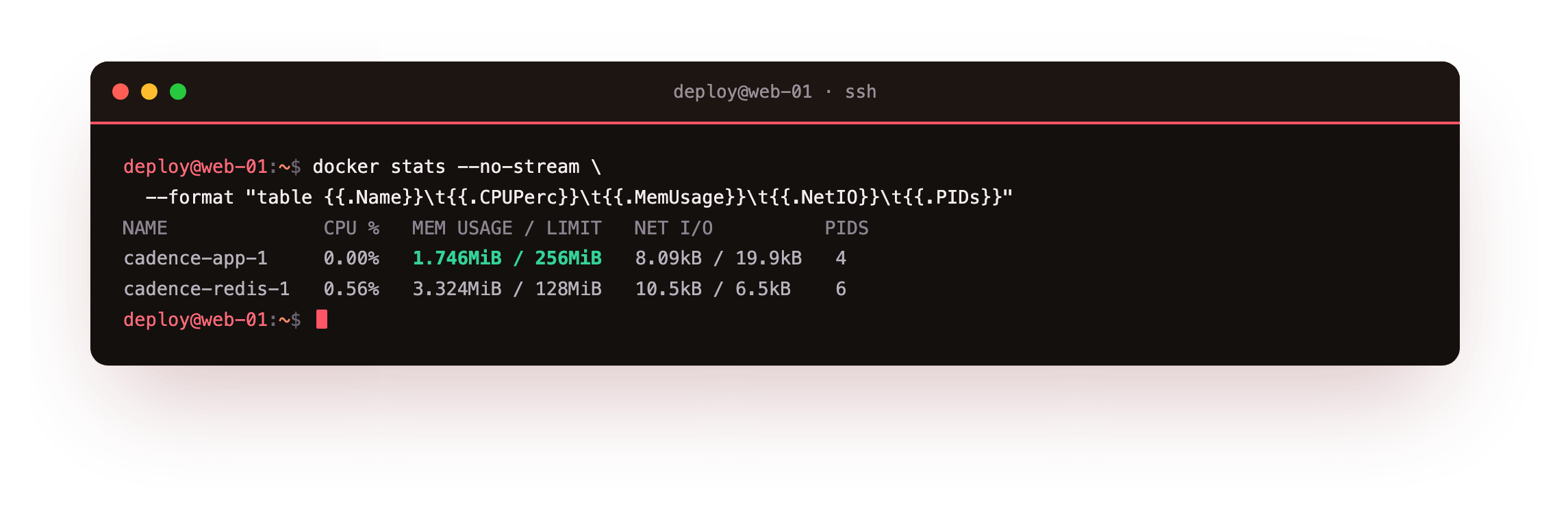 docker stats reporting live CPU, memory against the limit, network in and out, and process counts for the app and Redis containers