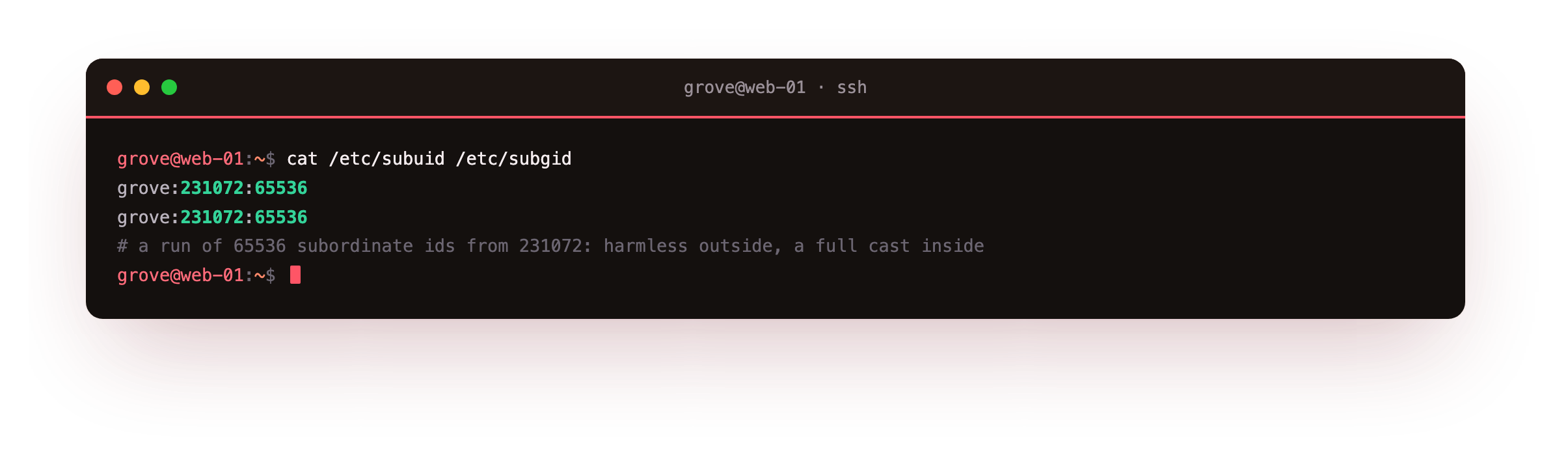 The user's line in /etc/subuid and /etc/subgid showing a block of 65536 subordinate ids beginning at 231072, the harmless outside ids a rootless namespace is allowed to hand out inside a container