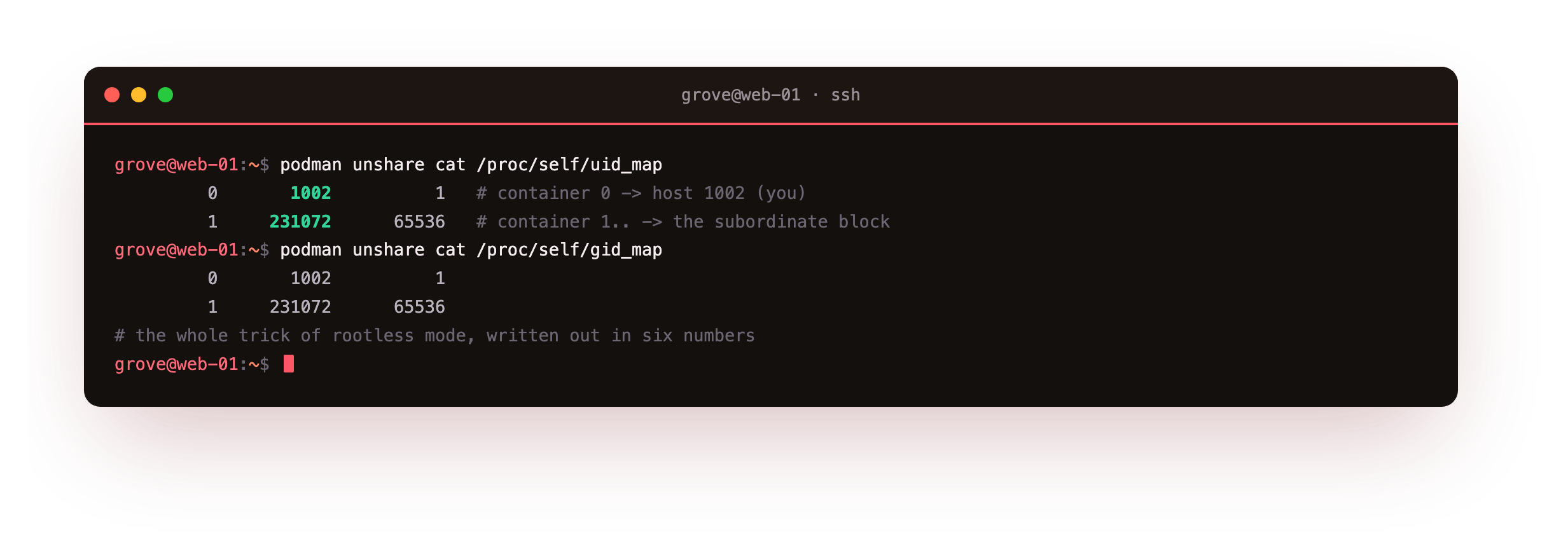 The uid and gid maps Podman builds read straight from the kernel: container uid 0 mapped to the host user for a length of one, and container uid 1 upward mapped onto the subordinate block at 231072
