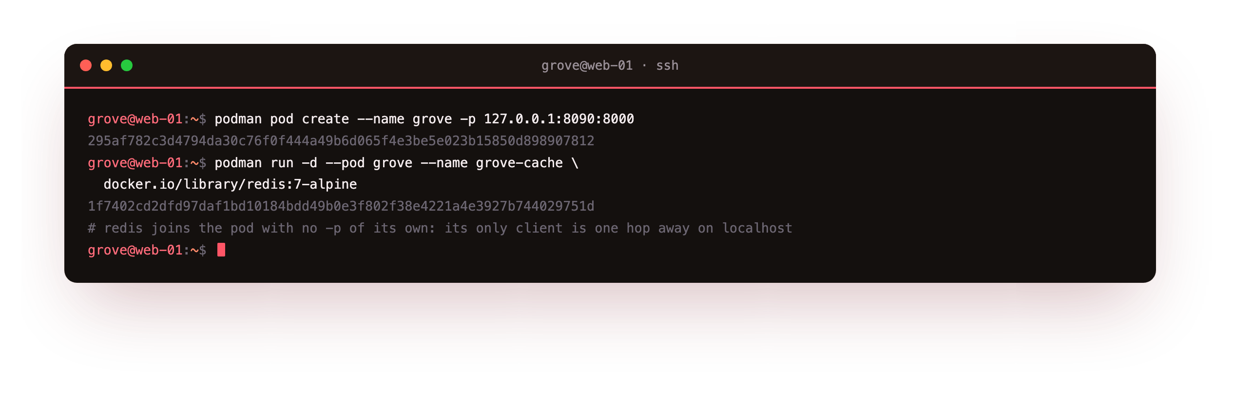 A pod named grove created with its public port published once at the pod level, then a Redis datastore container joining it with no host port of its own, since the only client is one hop away on localhost