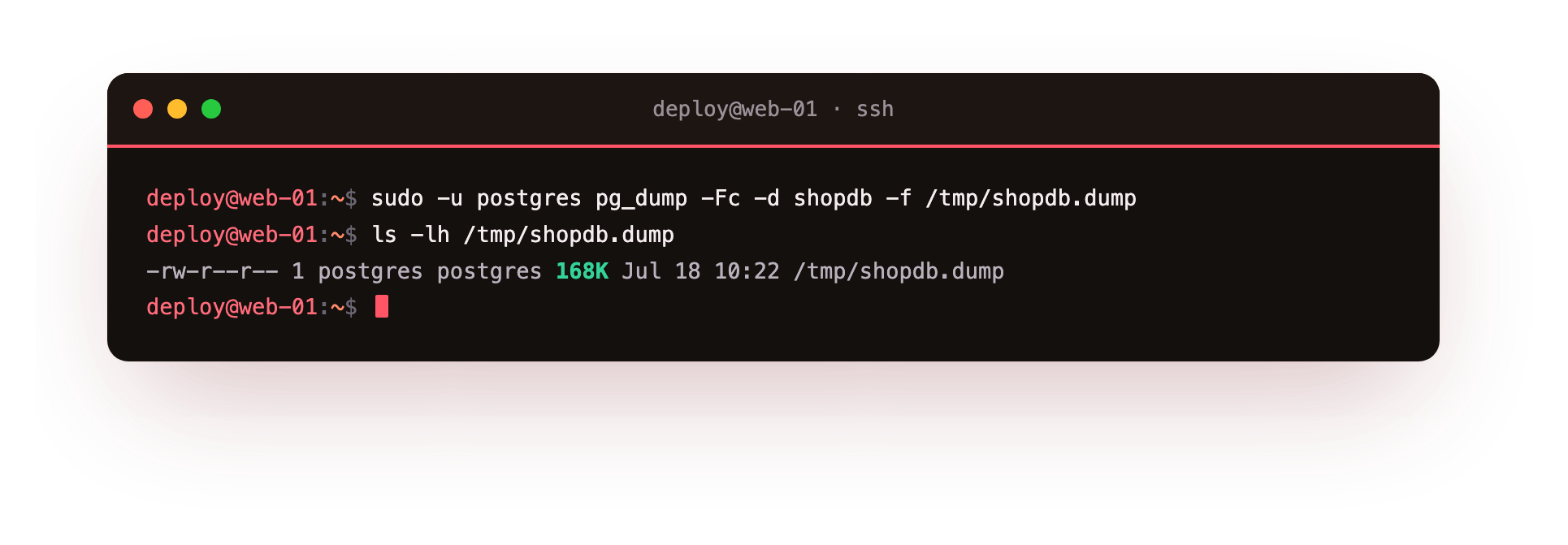 A 20,000-row database dumps to 168 KB