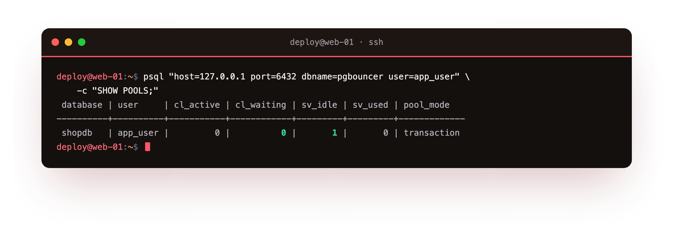 PgBouncer showing the transaction pool for the app