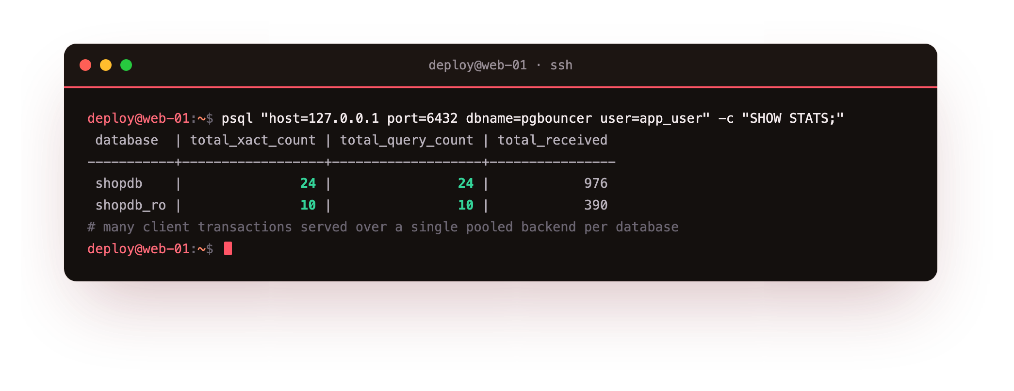 PgBouncer SHOW STATS reporting dozens of client transactions and queries per logical database served over a single pooled backend connection each