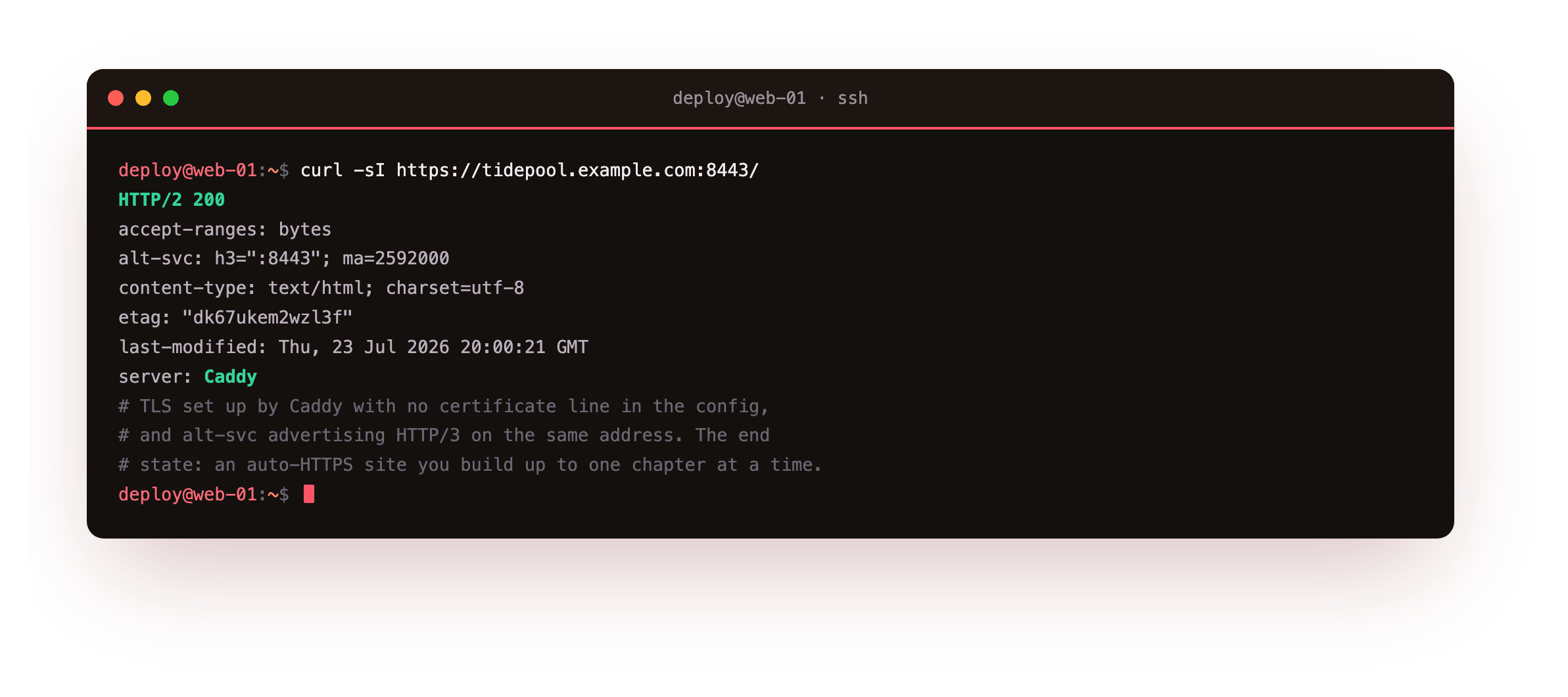 The end state shown before any theory: the finished Tidepool site answering HTTP/2 200 over HTTPS with a certificate Caddy issued on its own, the alt-svc header advertising HTTP/3 on the same address, and Caddy as the only server banner, the automatic-HTTPS site this series builds toward