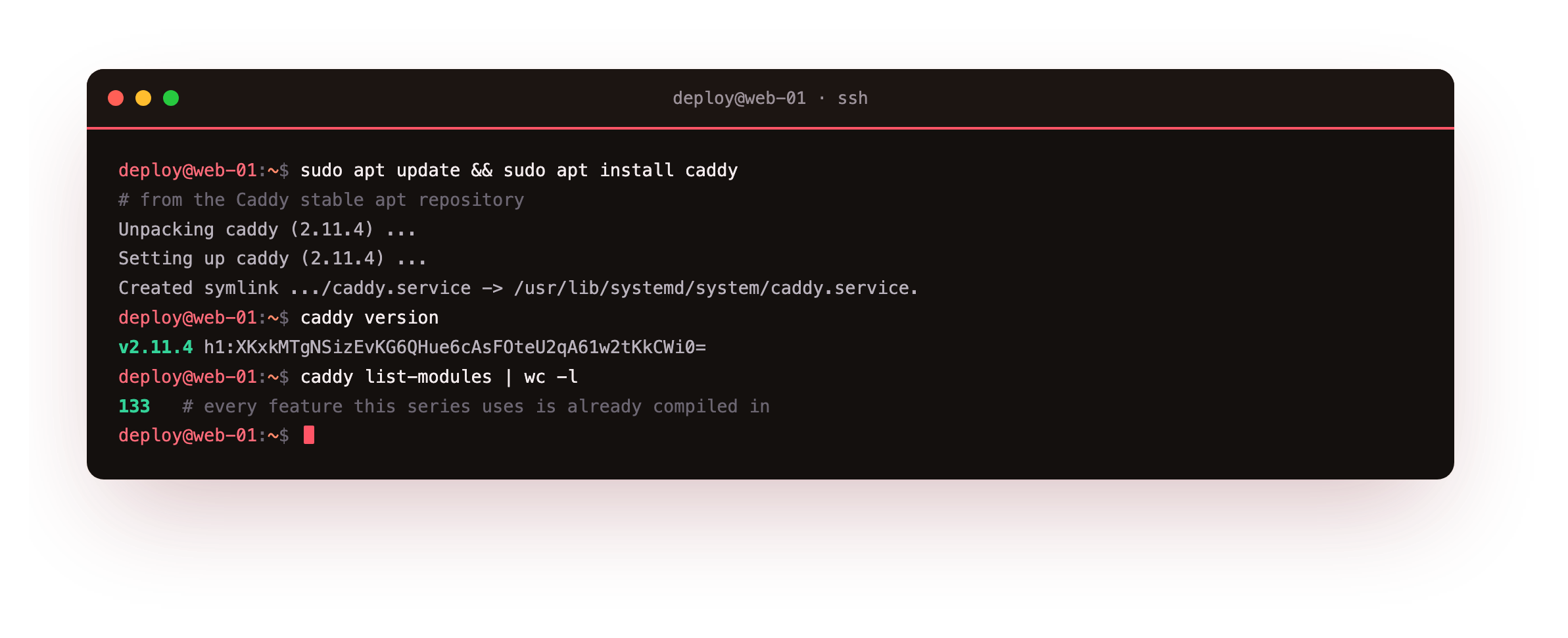 Adding the Caddy apt repository and installing the single binary on Ubuntu 24.04, then caddy version reporting v2.11.4 and the module list confirming well over a hundred features are compiled into the one static binary