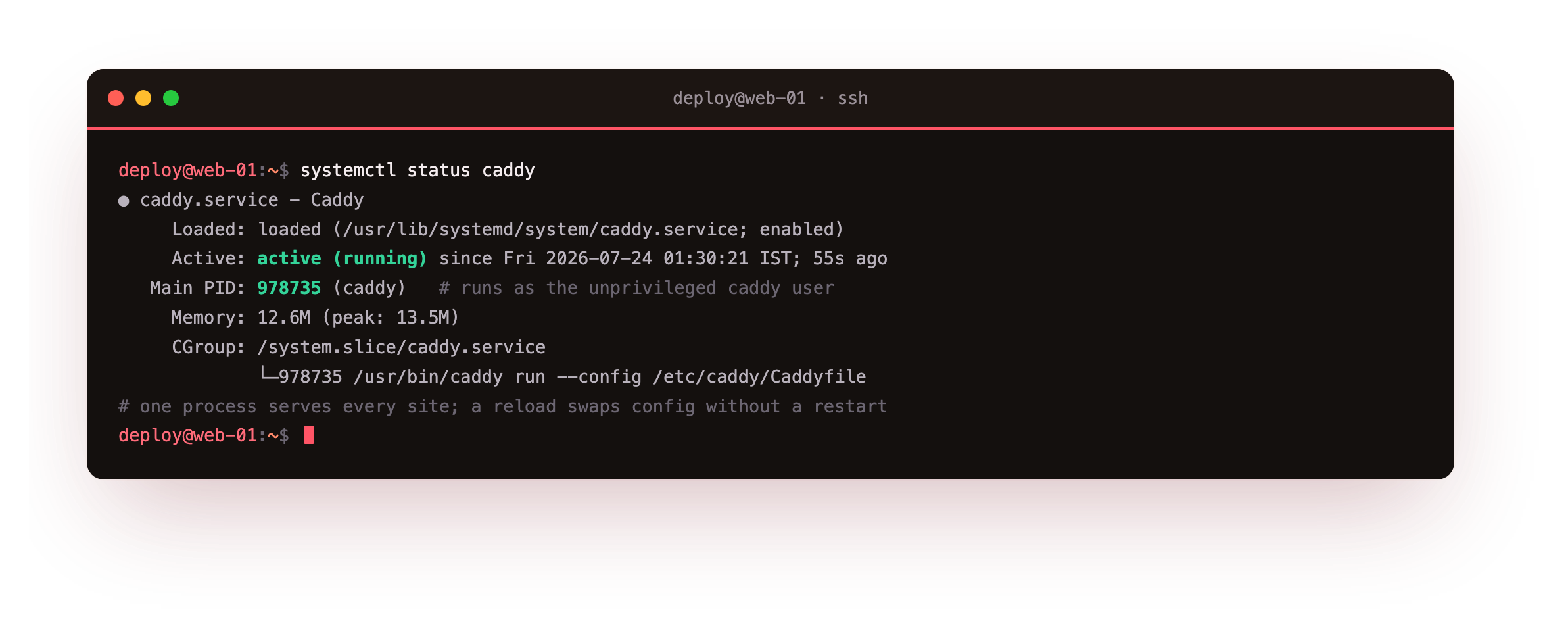 systemctl showing the caddy service active and running as the unprivileged caddy user, launched as caddy run against /etc/caddy/Caddyfile, holding a single process at a few megabytes of memory that serves every site in the config