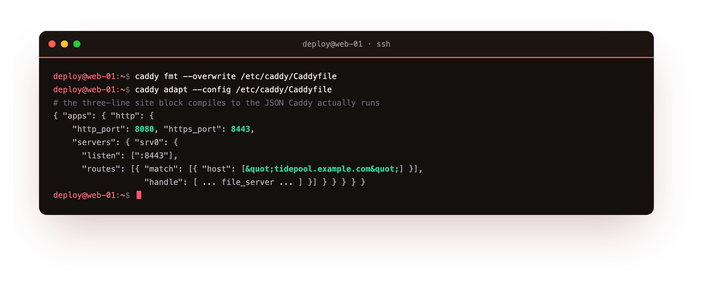caddy fmt printing the canonical Caddyfile layout, then caddy adapt compiling that three-line site block into the JSON config Caddy actually runs, showing the Caddyfile is a friendly front end over the JSON exposed on the admin API