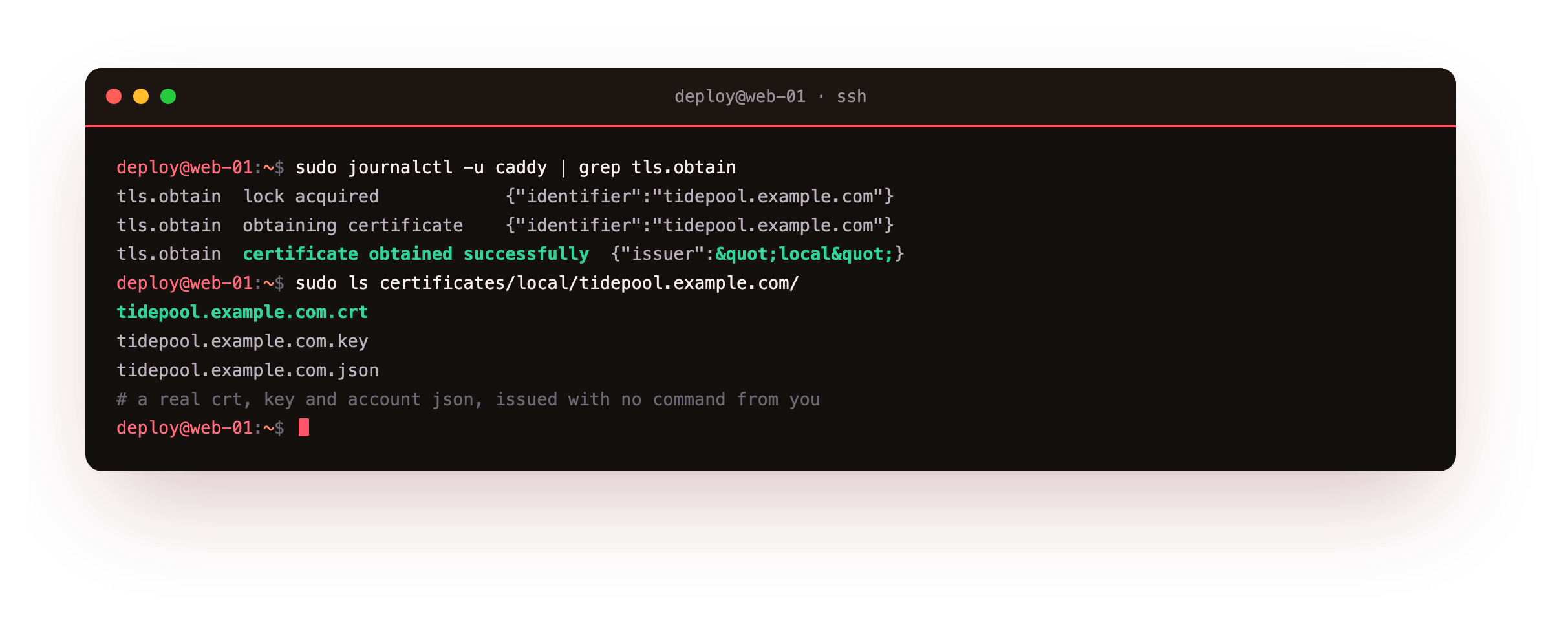 The Caddy log walking through automatic issuance with no prompt: a lock taken on the hostname, obtaining certificate, then certificate obtained successfully naming the issuer, and the storage directory holding the real crt, key and json files Caddy minted for the site