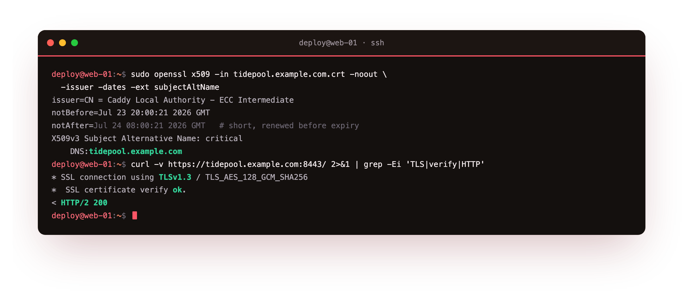 openssl reading the leaf certificate Caddy issued, its subject alternative name set to the hostname and a short validity window it renews before, then a curl handshake completing on TLS 1.3 with a modern cipher, the certificate verifying, and the request returning HTTP/2 200