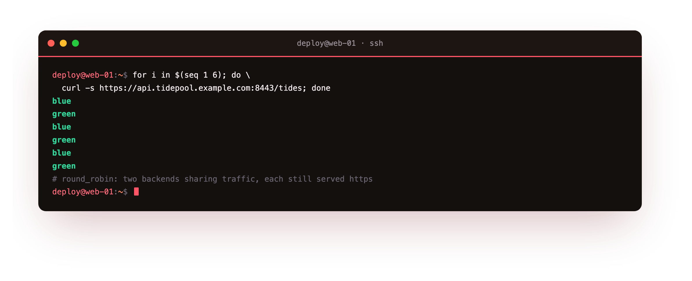 Six requests through the Caddy reverse proxy alternating evenly between the blue and green backends under the round_robin policy, every response still marked https, the load balancer sharing traffic across two instances behind one certificate and hostname