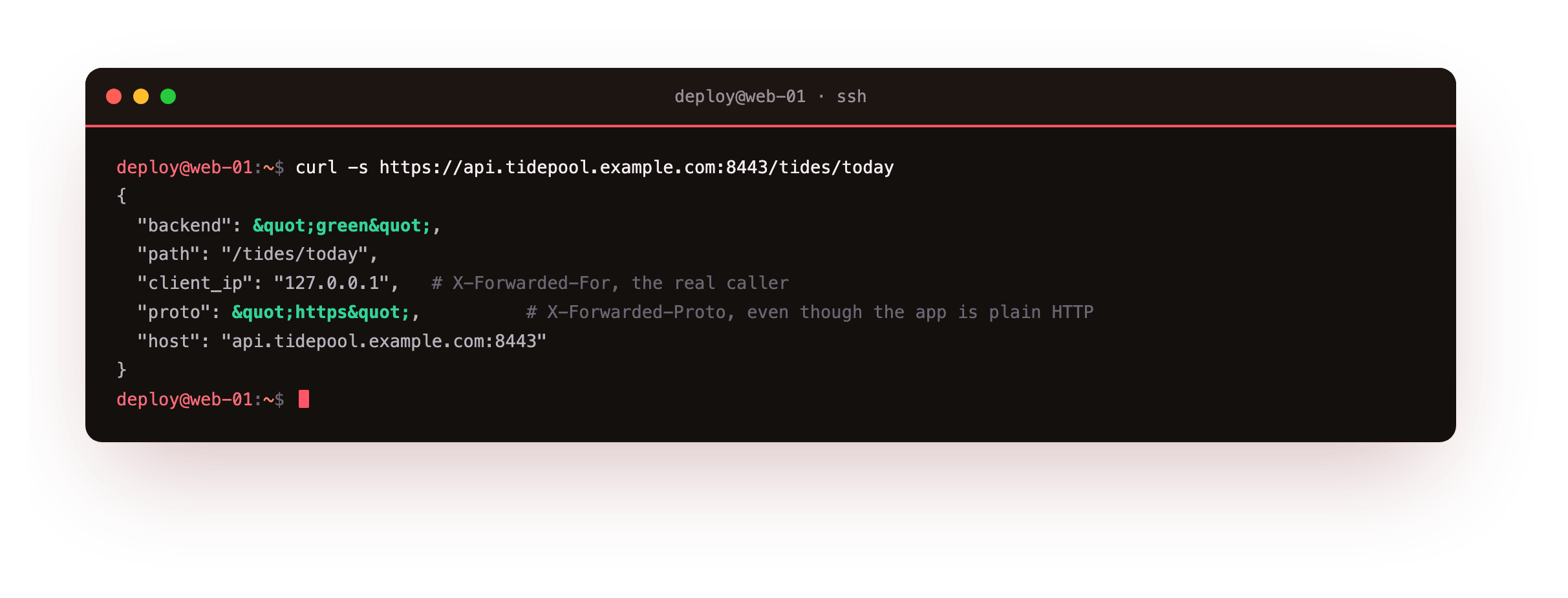The backend echoing the forwarding headers Caddy set on the proxied request: X-Forwarded-For carrying the client address, X-Forwarded-Proto reading https even though the app was reached over plain HTTP, and X-Forwarded-Host holding the public hostname