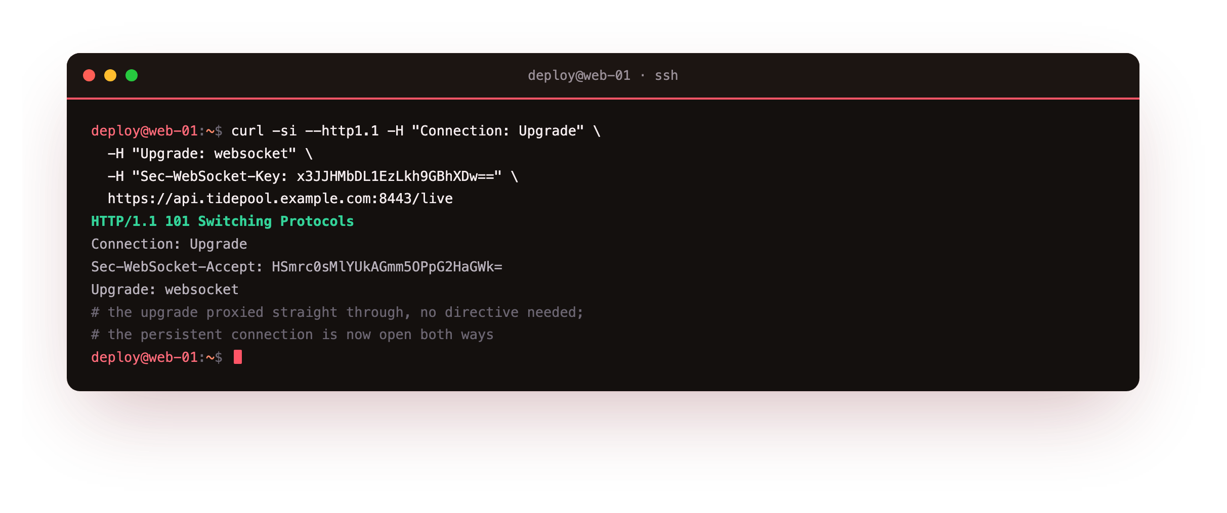 A websocket upgrade proxied straight through Caddy with no special config, the reply reading 101 Switching Protocols with the Upgrade header and the computed Sec-WebSocket-Accept handed back from the backend, so the persistent connection is open both ways