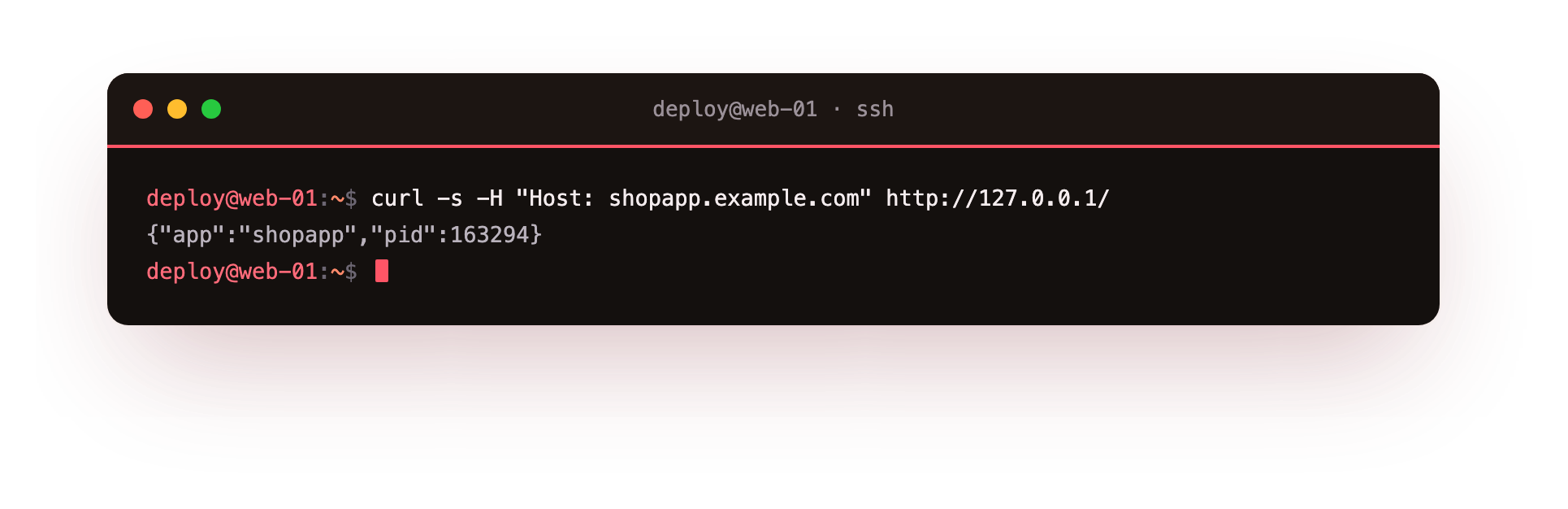 A request to nginx is forwarded to the app on localhost and back