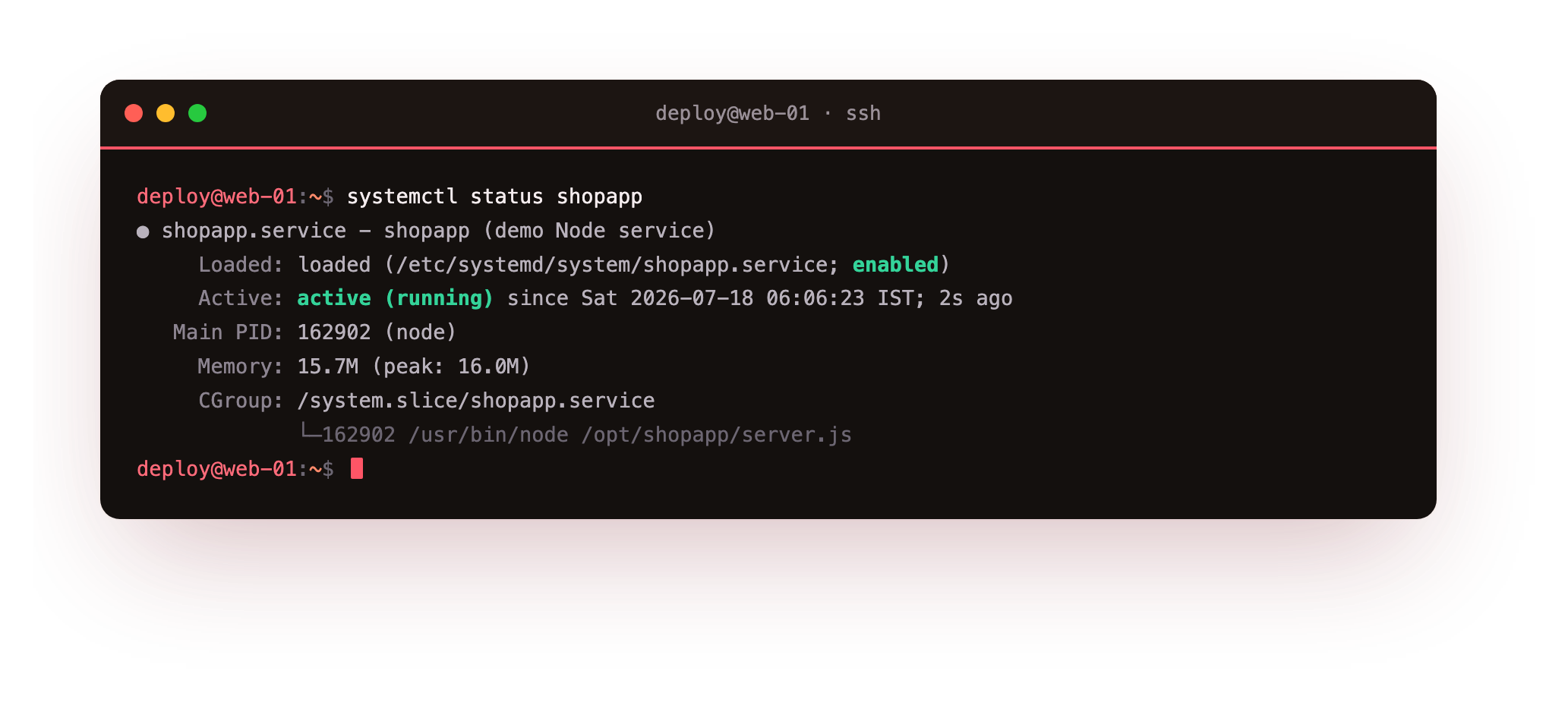 The service active and running, with its PID and memory use