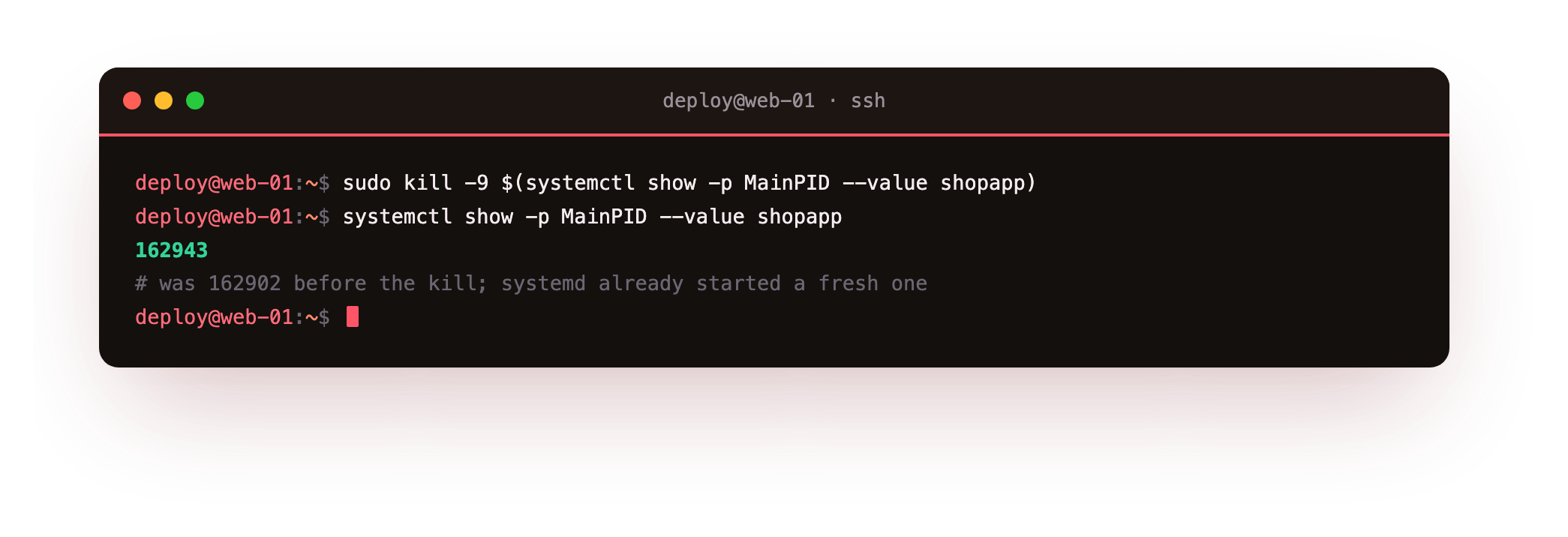 Killed the app and systemd started a fresh one with a new PID