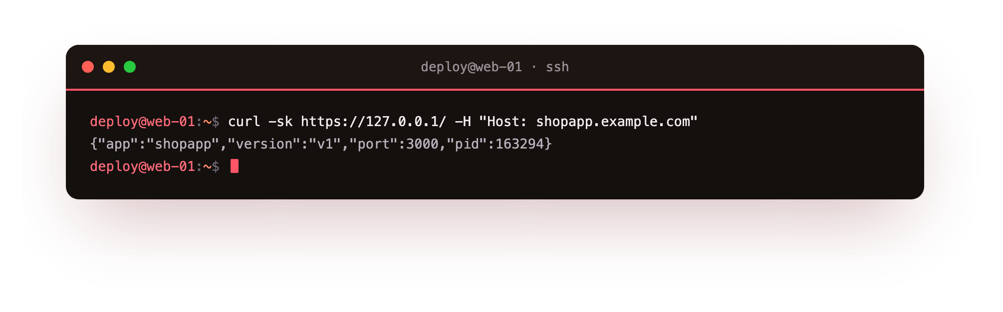 The app served over an encrypted TLS connection through nginx