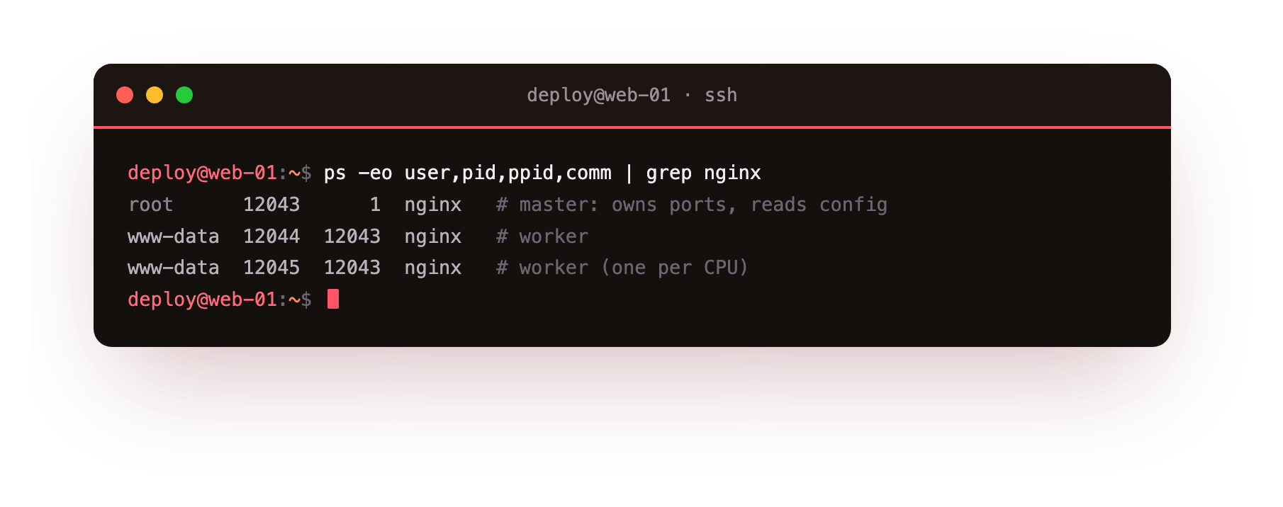 One root master process owning the ports and two www-data worker processes doing the work