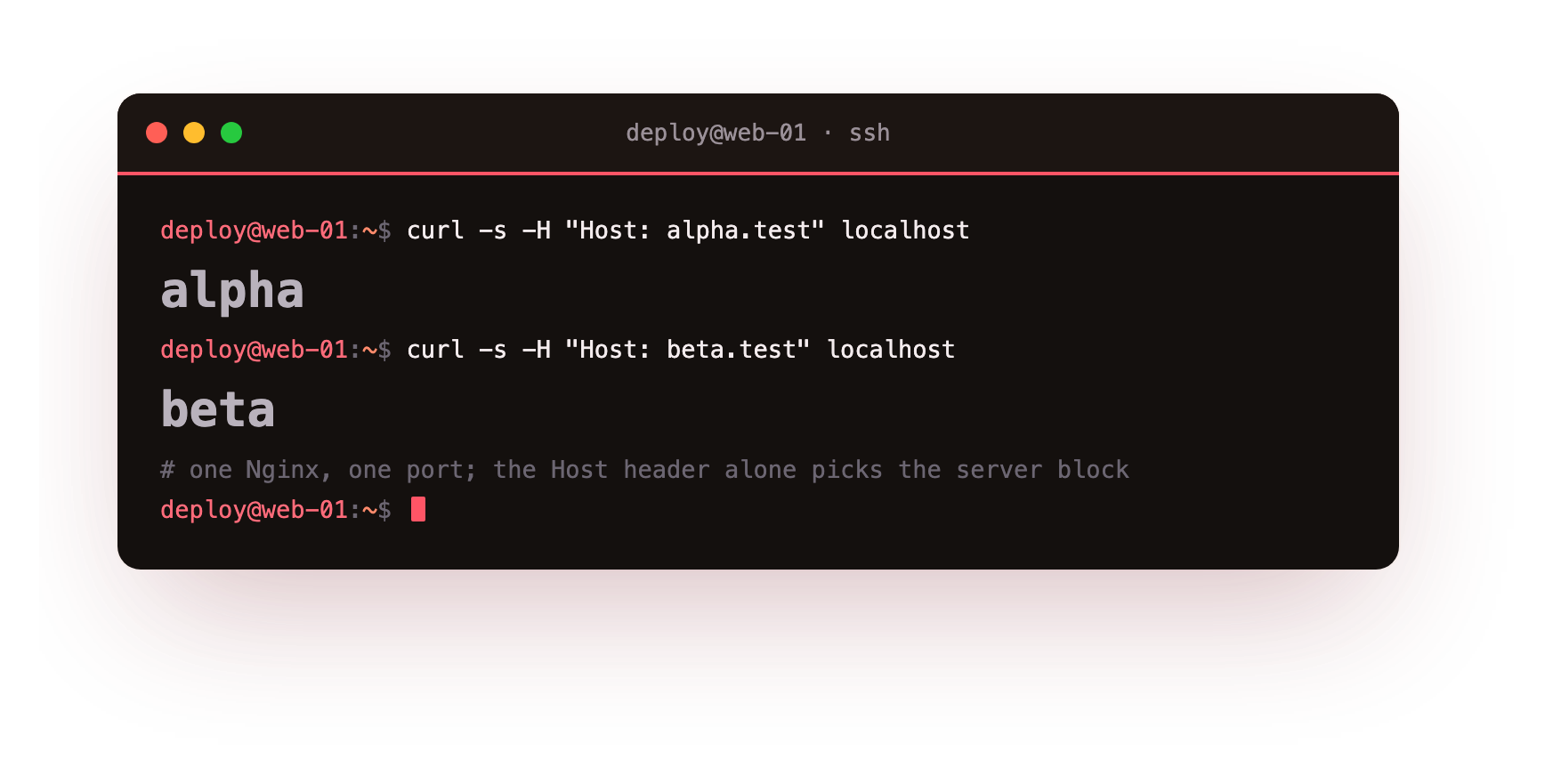 The same Nginx serving two different sites, selected by the Host header alpha.test and beta.test
