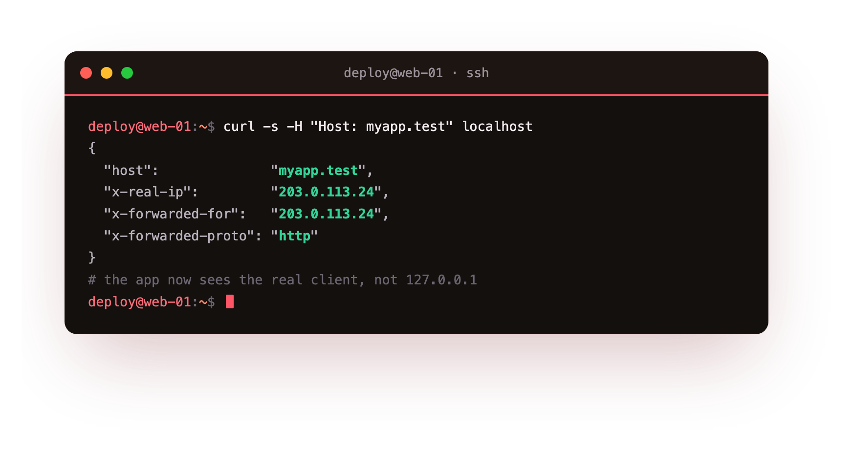 The proxied app reporting back the real Host, X-Forwarded-For chain and X-Forwarded-Proto that Nginx passed it