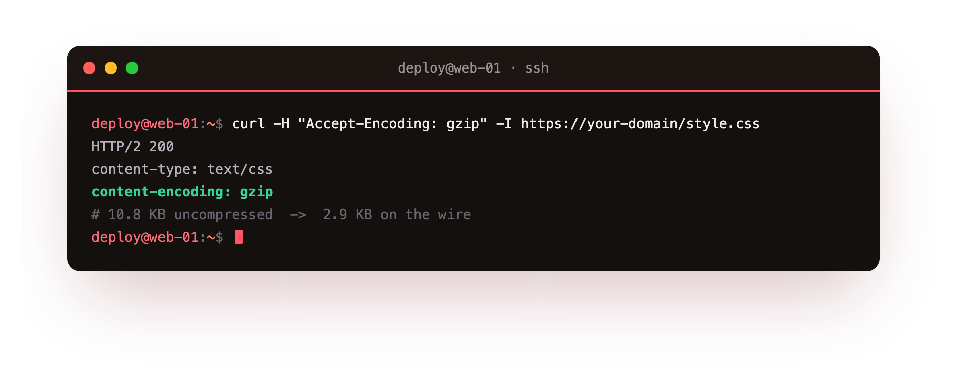 A stylesheet returned with Content-Encoding gzip, a fraction of its uncompressed size on the wire