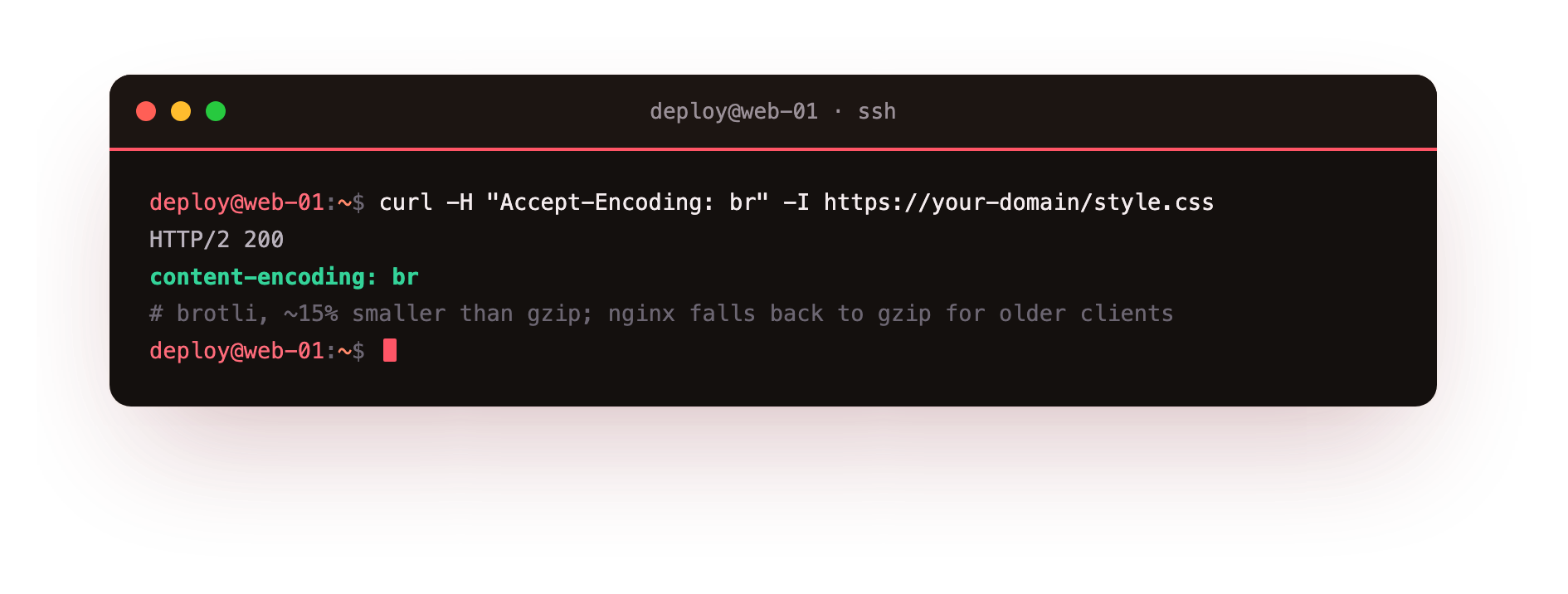 The same file returned with Content-Encoding br, brotli compressing a little better than gzip