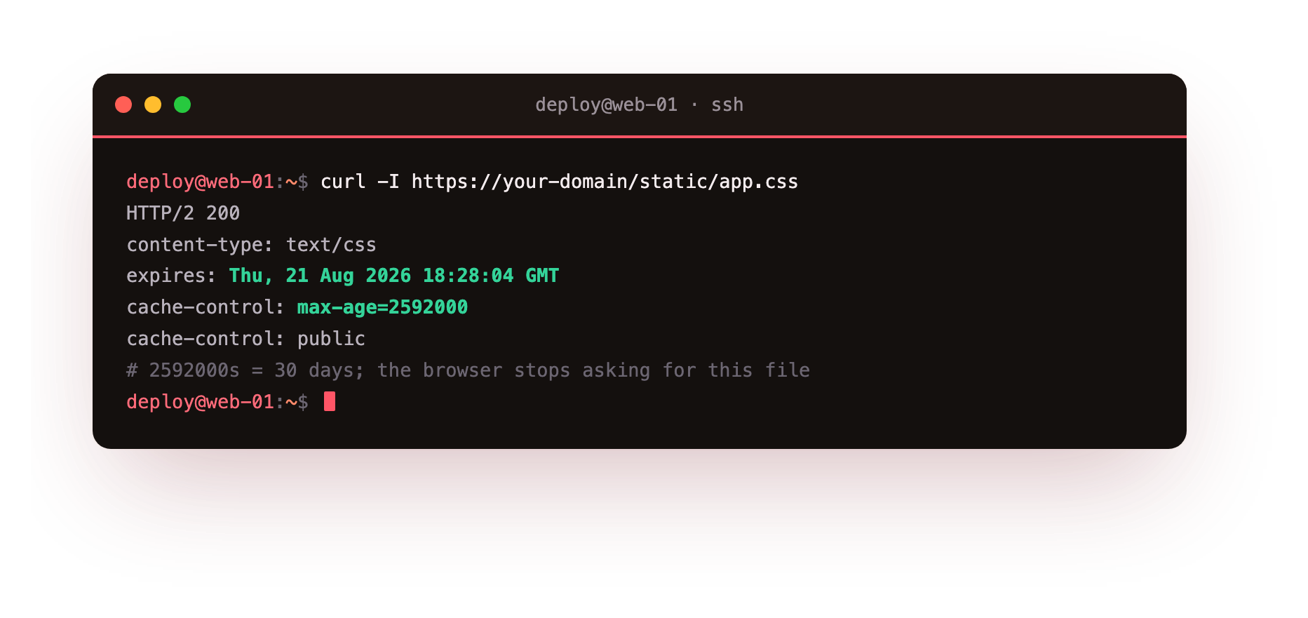 A static file returned with a 30-day Expires header and Cache-Control max-age, so browsers stop re-fetching it