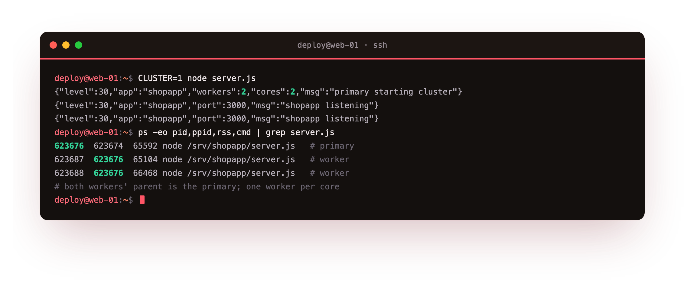 The cluster booting with two workers on two cores, and a process tree showing the primary process with its two worker children
