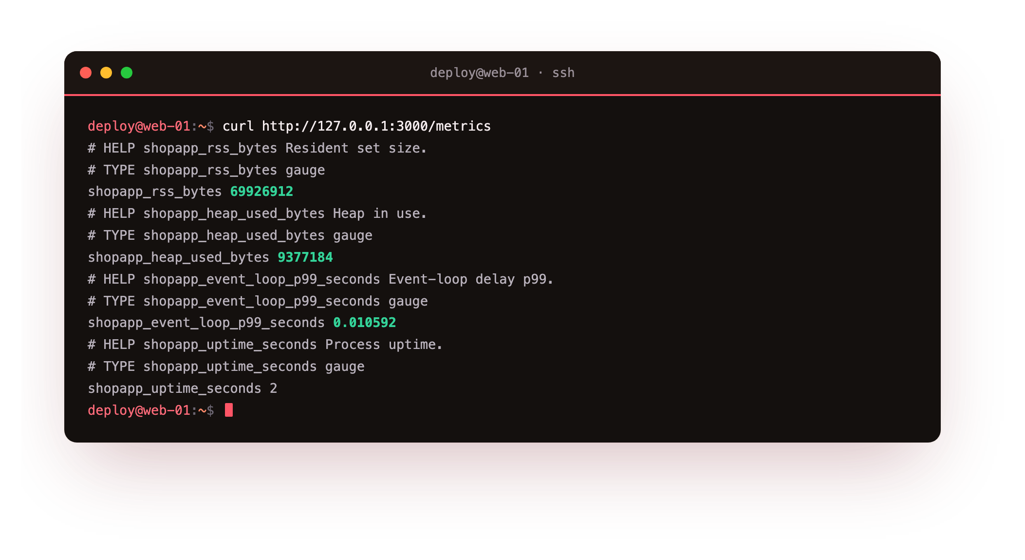 The metrics endpoint returning Prometheus text gauges for resident memory, heap in use, event-loop delay, and uptime