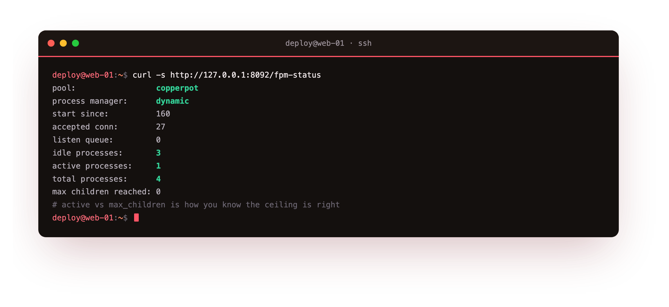 The php-fpm pool status page naming the copperpot pool, confirming the dynamic process manager, and reporting idle, active and total worker counts along with accepted connections
