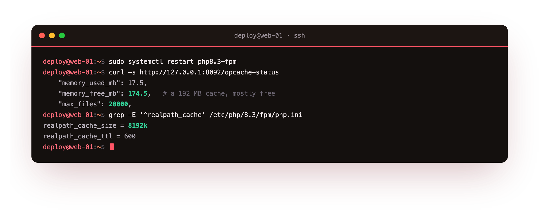 The running pool confirming the tuned OPcache: 192 MB of shared memory, room for twenty thousand files, timestamp validation off, and a larger realpath cache with a longer time to live