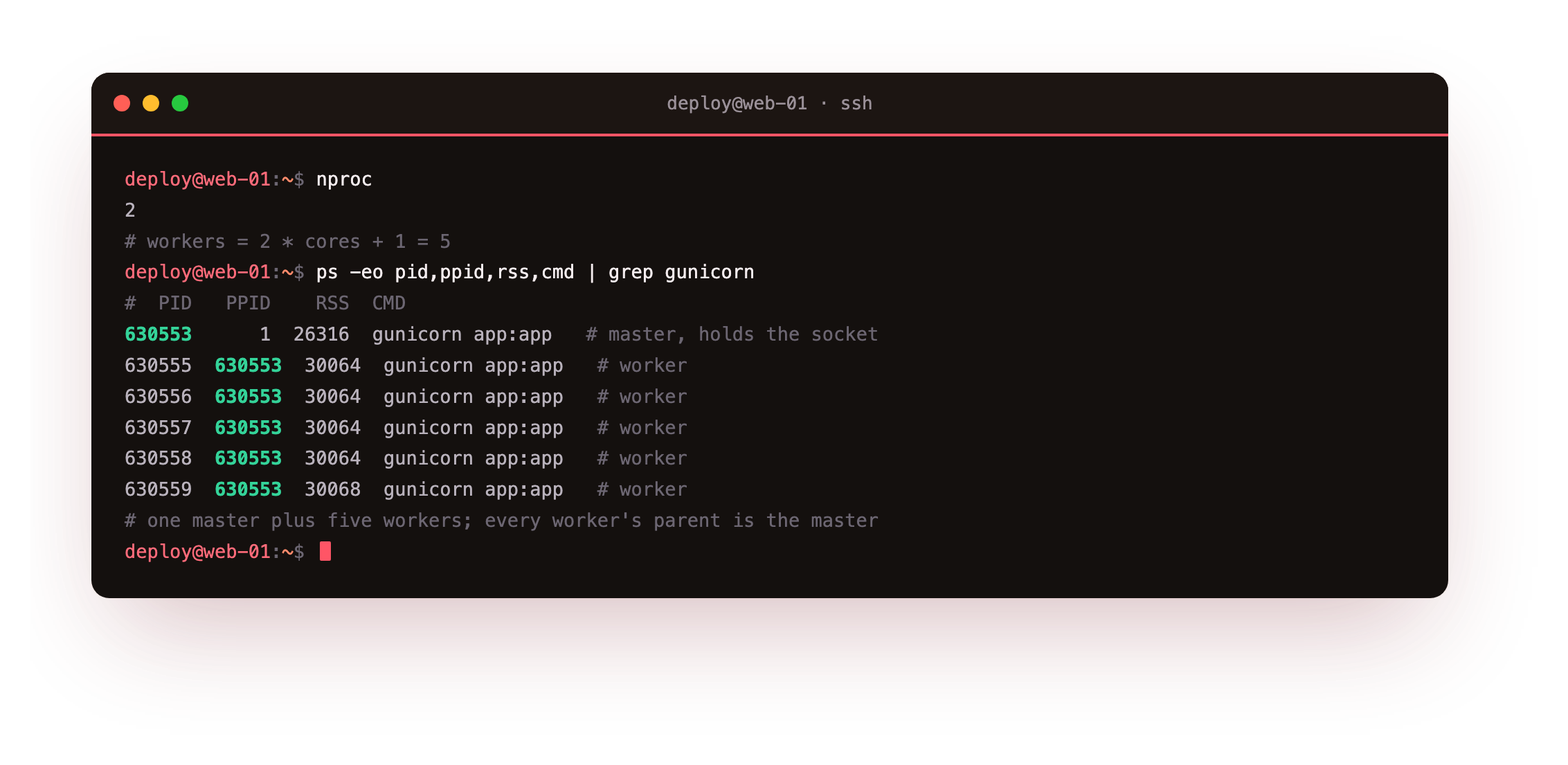 A process list showing the gunicorn master and its five worker children, each worker holding around thirty megabytes of resident memory