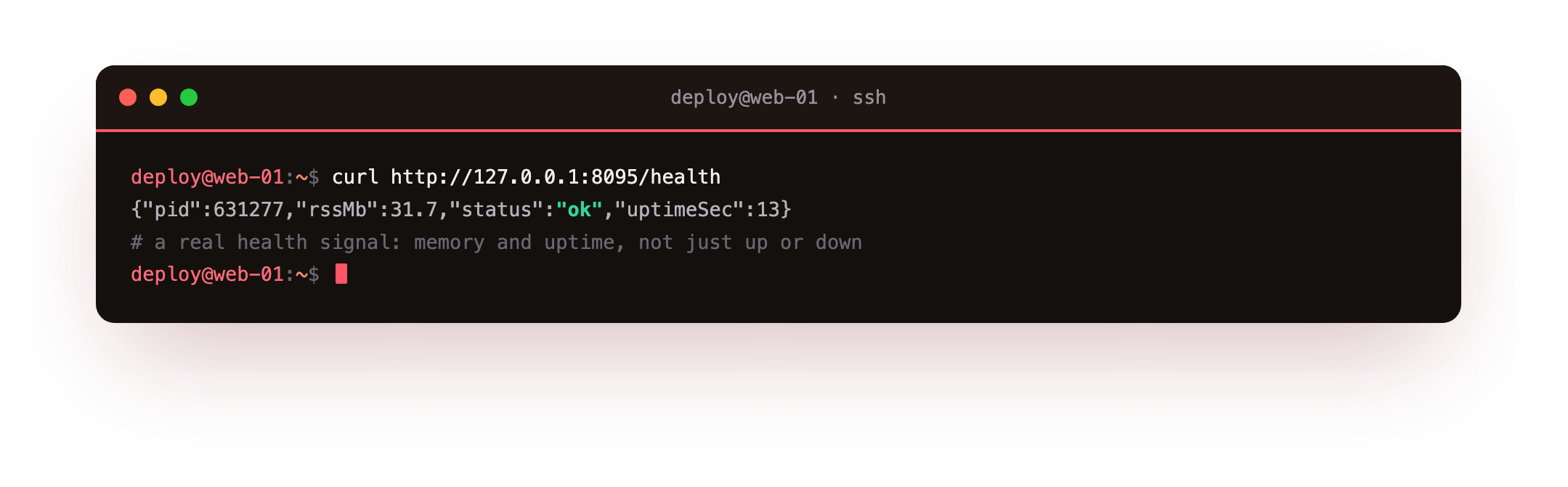 The health endpoint returning JSON with an ok status, the worker process id, uptime in seconds, and resident memory around thirty-two megabytes