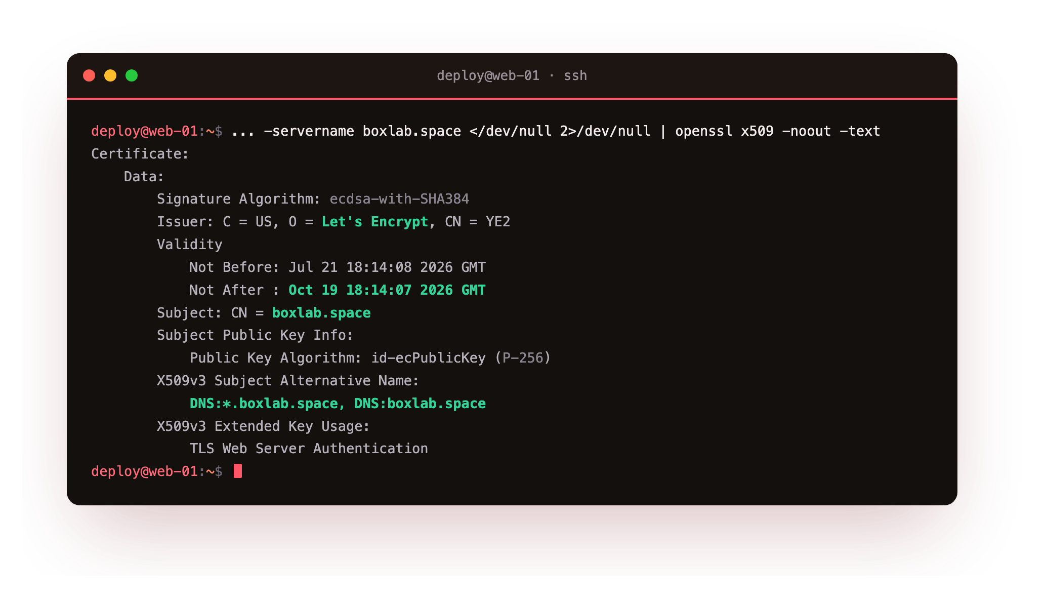 openssl x509 decoding the leaf certificate: subject boxlab.space, Let's Encrypt issuer, validity dates and the wildcard SAN