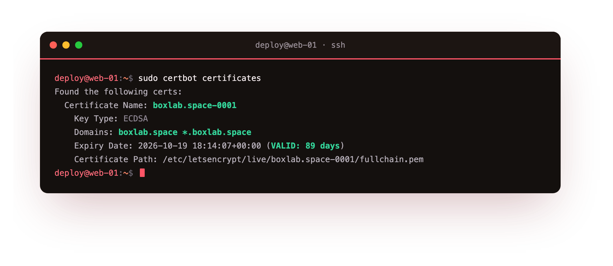certbot certificates listing the boxlab.space wildcard: ECDSA key, domains boxlab.space and the wildcard, valid 89 days