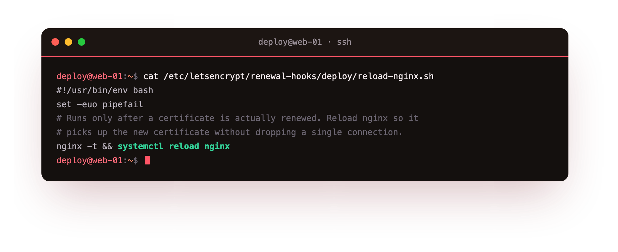 The deploy hook script in renewal-hooks deploy that runs nginx -t and reloads nginx after a certificate renews