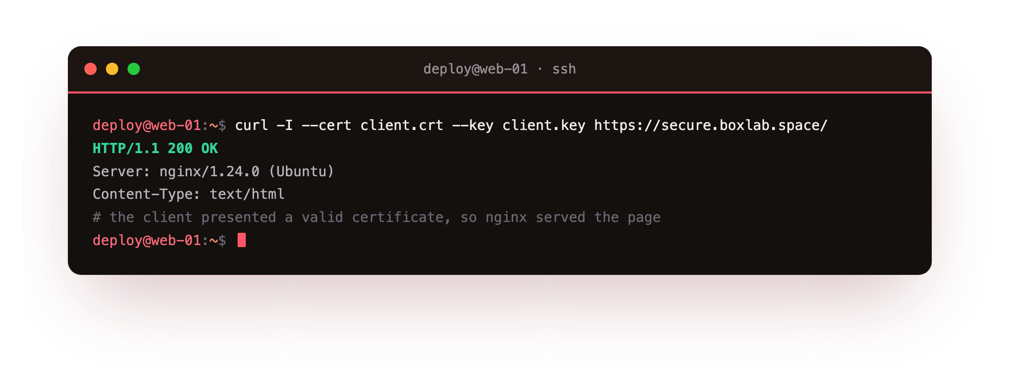 curl presenting the client certificate and getting HTTP 200 from the mTLS-protected secure subdomain