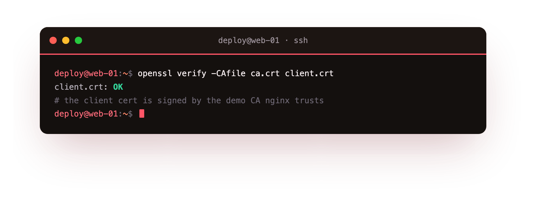openssl verify confirming the client certificate is signed by the demo CA, printing client.crt OK
