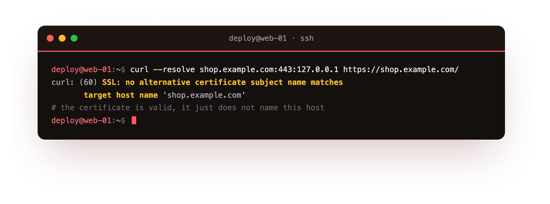 curl hitting a mismatched hostname and failing with SSL no alternative certificate subject name matches target host name