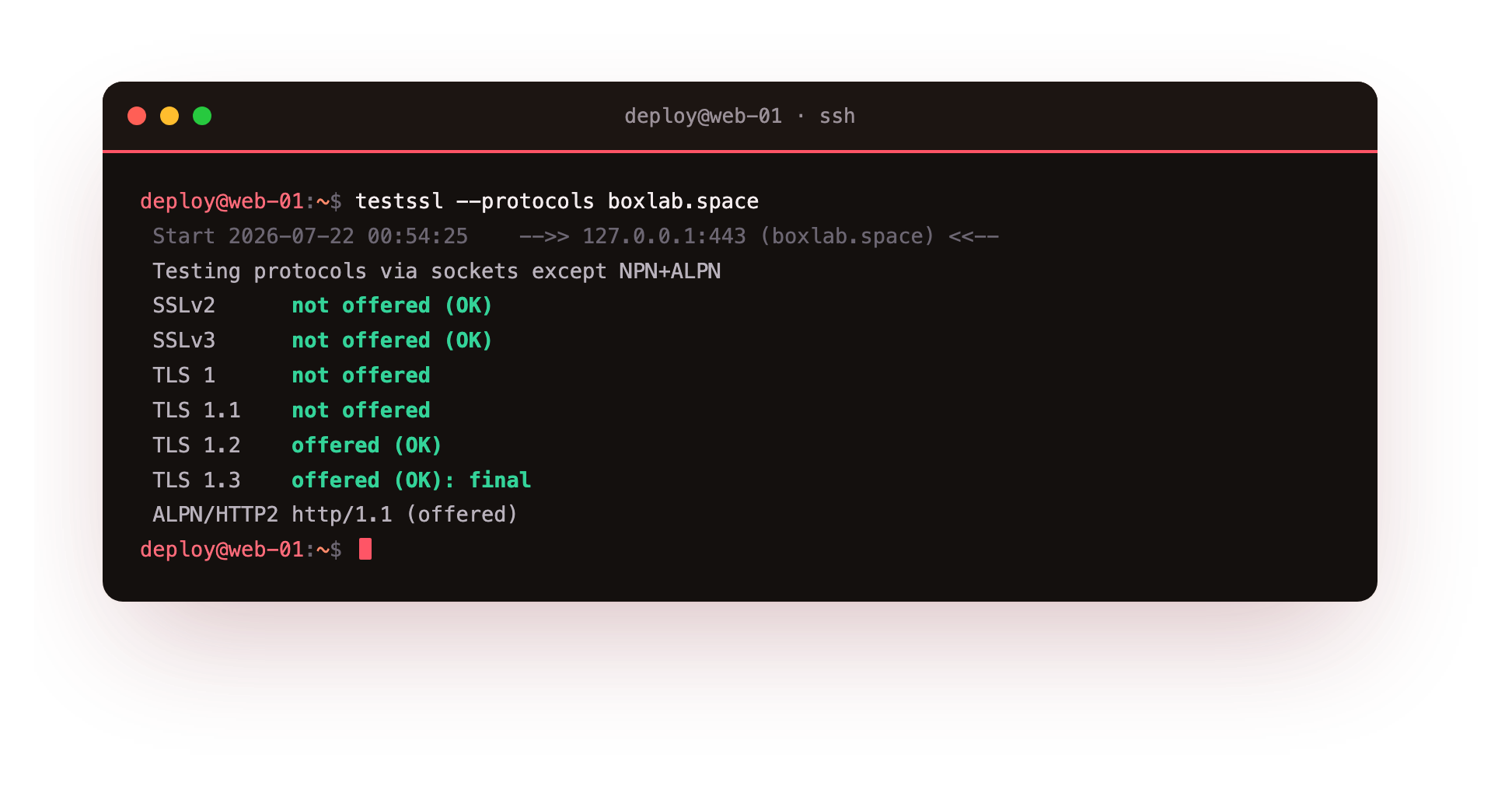 testssl protocol audit: SSLv2, SSLv3, TLS 1.0 and TLS 1.1 not offered, TLS 1.2 and TLS 1.3 offered