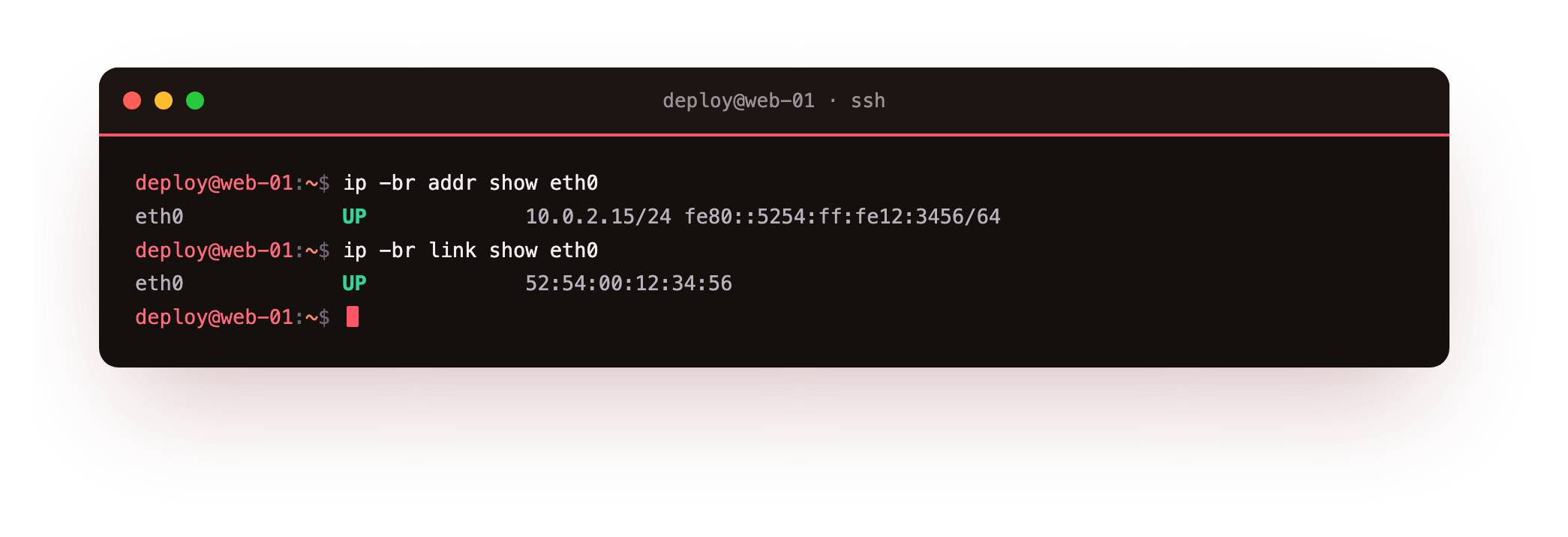 ip shows the eth0 interface is up, with its IPv4 address, IPv6 address and hardware MAC address
