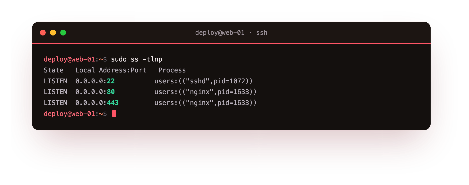 ss -tlnp lists every listening TCP port with the process that owns it, here sshd and nginx
