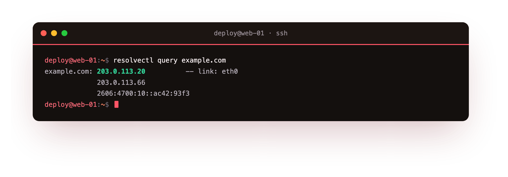 resolvectl turns a name into its IPv4 and IPv6 addresses and shows which interface answered