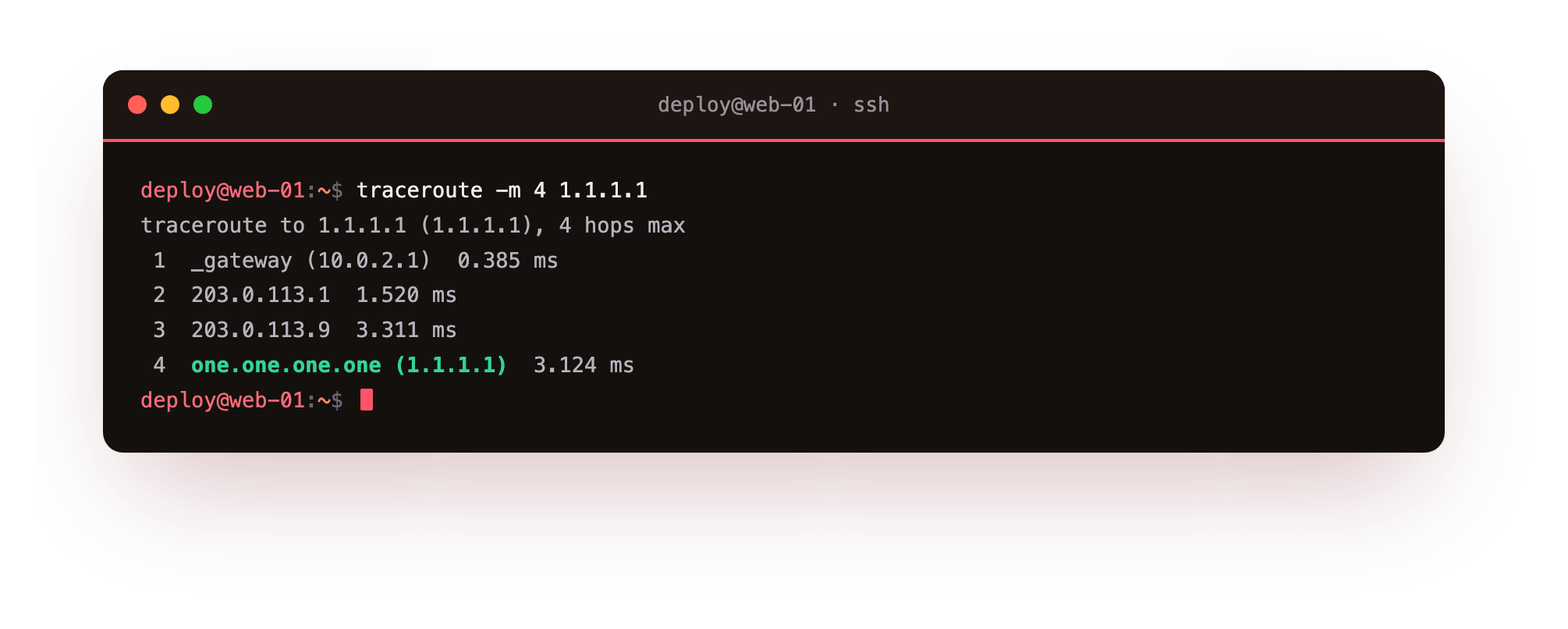 traceroute shows each hop between your server and the destination, starting at your gateway