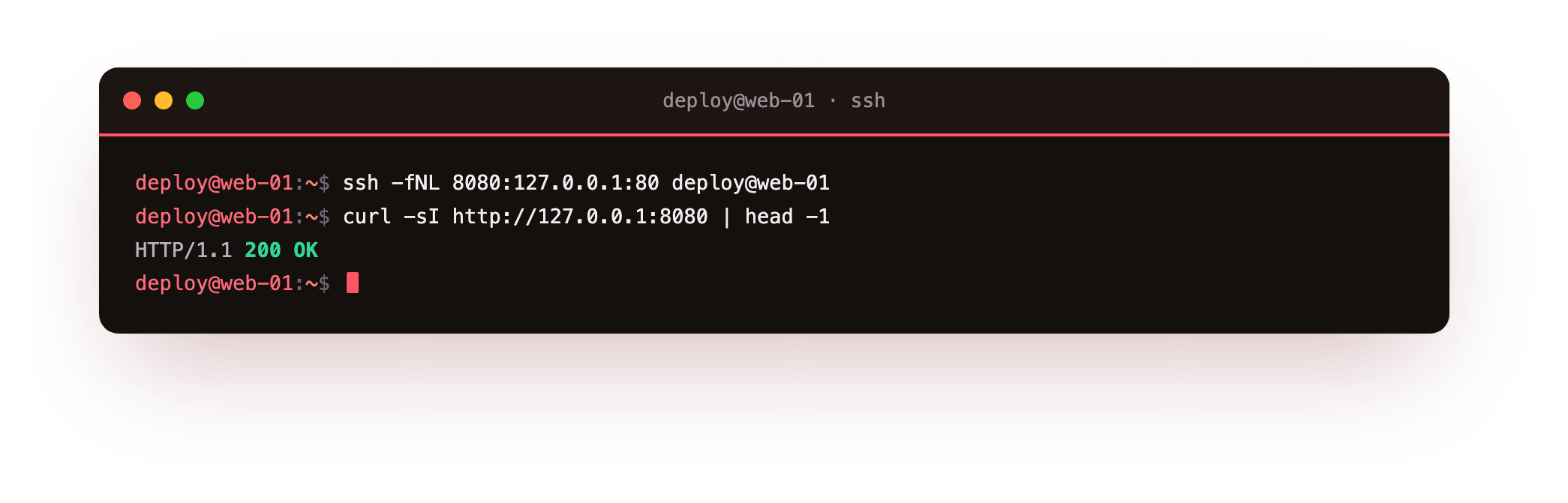 The -L flag forwards local port 8080 through SSH to port 80 on the remote server