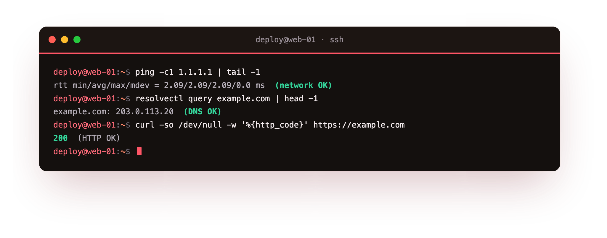 Checking the network, then DNS, then the HTTP status in order isolates which layer is slow