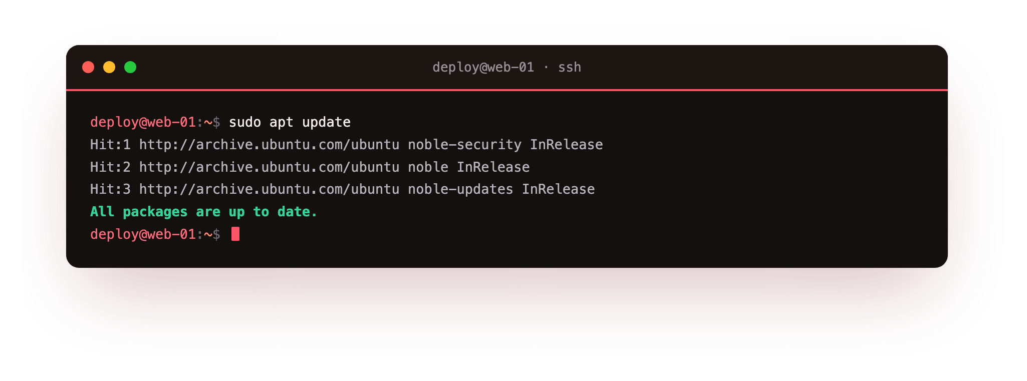 apt update refreshes the package lists from each repository, then reports whether anything can be upgraded