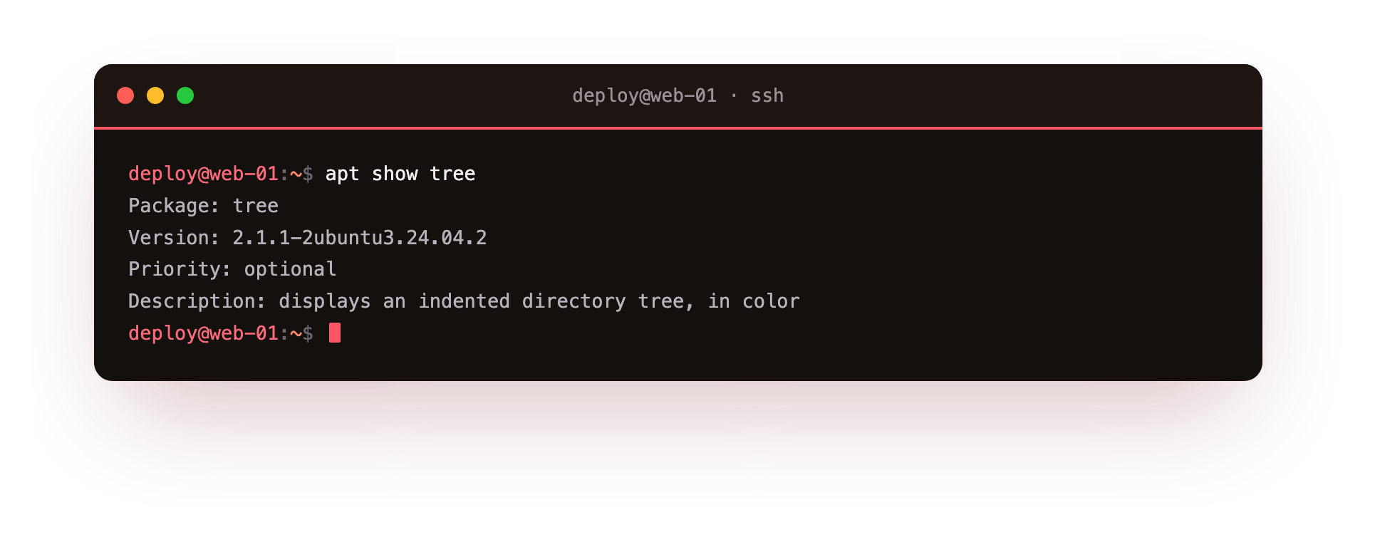 apt show prints the package name, version, priority and a description before you commit to installing it